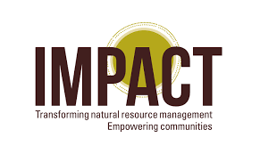 impact Logo