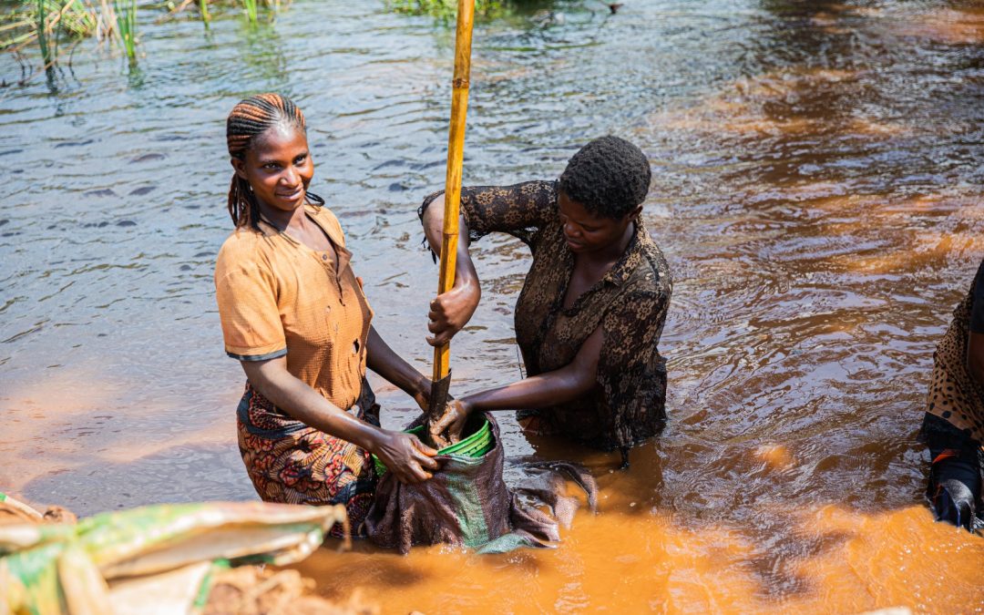 Regional Guidelines For the Formalization of Artisanal and Small-Scale Mining Sector