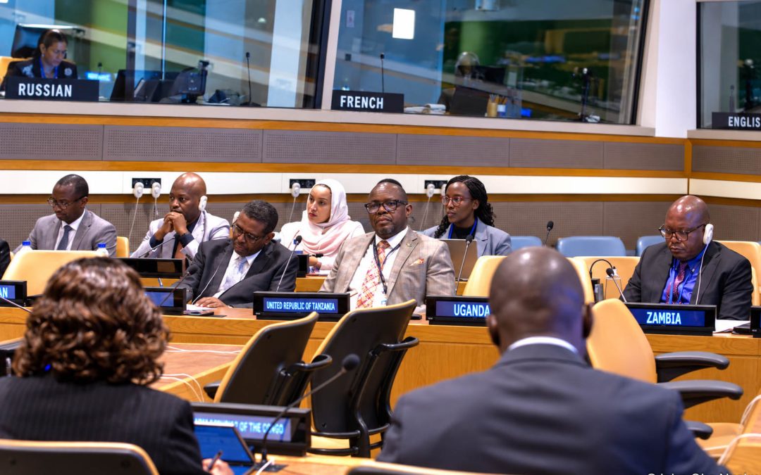 ICGLR Strengthens Coordination among Member States at the United Nations